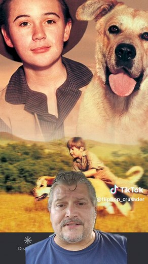 Old Yeller! #fyp #disney #movies