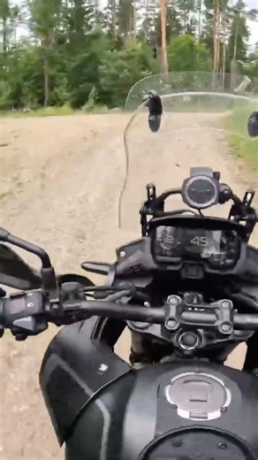 Honda CB 500X forest #honda #cb500x #forest #trail