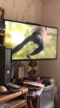 Barney Says Segment At Home With Animals (PBS Version)