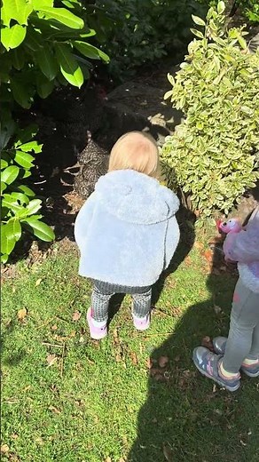 Magical Airbnb in Scotland #travelvlog #travelwithkids #scotland #highlands #lochawe