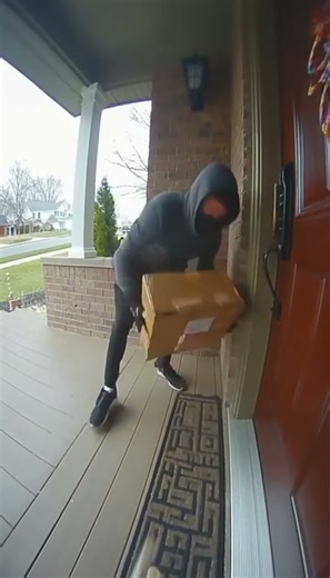 Porch Pirates