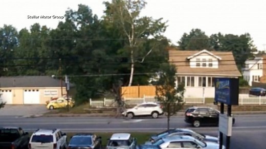 Driver has close call with falling tree