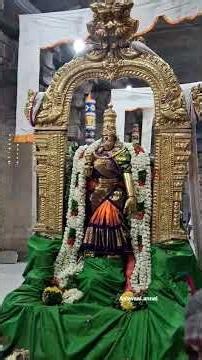 மதுரை அருள்மிகு மீனாட்சி சுந்தரேஸ்வரர் திருக்கோவில் வைகாசி வசந்த உற்சவம்‌ ஓன்பதாம் நாள் திருவிழா