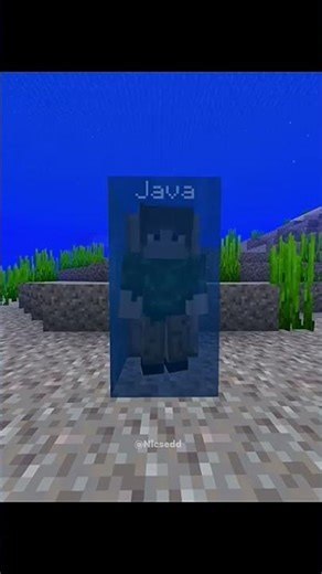 sự khác biệt giữa java và bedrock