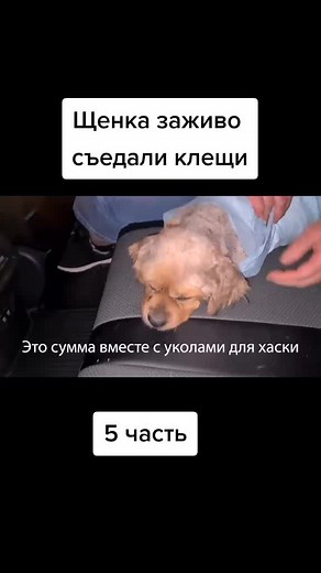 #fyr #for #no #рек #парадигма #5часть Не знаю что писать
