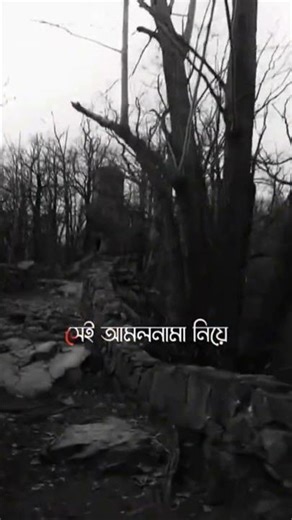 ইসলামিক ভিডিও আনিসুর রহমান আশরাফী বয়ান #foryou #shortvideo #viral #islamek #2026