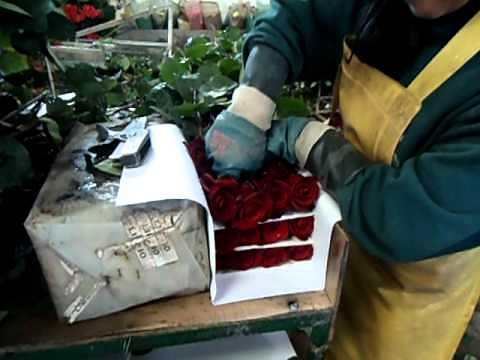 Embalaje de rosas de exportación calidad premium de Flor Hermosa