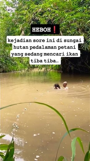 This afternoon's incident in the inland forest river where farmers were looking for fish suddenly...