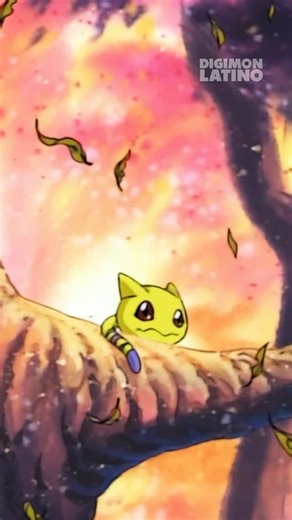 Digimon Latino | ¡Historia de Gatomon! 🥺❤️‍🩹 . . #digimon #digimonlatino #anime #otaku #デジモン | Instagram