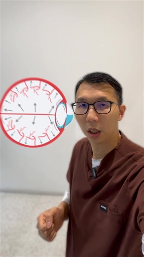 𝗠𝗼𝘀𝘁 𝗽𝗲𝗼𝗽𝗹𝗲 𝗺𝗮𝗻𝗮𝗴𝗶𝗻𝗴 𝗲𝘆𝗲 𝗽𝗿𝗲𝘀𝘀𝘂𝗿𝗲 𝗳𝗼𝗰𝘂𝘀 𝗼𝗻 𝗱𝗿𝗼𝗽𝘀, 𝗹𝗮𝘀𝗲𝗿𝘀, 𝗼𝗿 𝘀𝘂𝗿𝗴𝗲𝗿𝘆. Helpful but yet almost no one talks about supporting the optic nerve itself. 𝗣𝗿𝗲𝘀𝘀𝘂𝗿𝗲 𝗰𝗼𝗻𝘁𝗿𝗼𝗹 𝗶𝘀 𝗼𝗻𝗹𝘆 𝗽𝗮𝗿𝘁 𝗼𝗳 𝘁𝗵𝗲 𝘀𝘁𝗼𝗿𝘆. The optic nerve that carries vision signals also relies on blood circulation and cellular energy to stay resilient over time. Nutravision Eye Pro is a doctor-formulated daily supplement that supports: ✅ 𝗛𝗲𝗮𝗹𝘁𝗵𝘆 