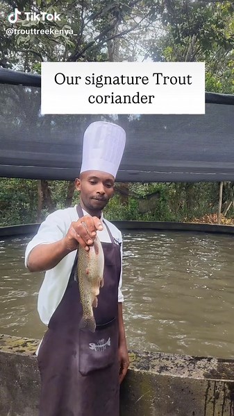 Enjoy Signature Coriander Trout at Trout Tree Nanyuki