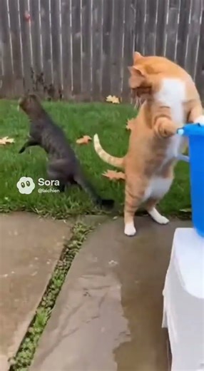 Ice Bucket Challenge