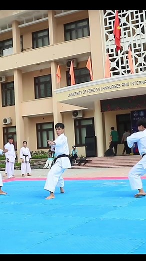 52K views · 386 reactions | Bunkai Unsu! | Loi Tran karate | Facebook