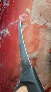 124K views · 472 reactions | Just a pointer on how I take my hyde off my deer.! I'll do a actual video on the next deer i harvest! Leave that meat on there it has its benefits!~~Ray | Michigan Outdoors Report | Facebook