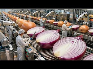 Inside America’s Biggest Onion Powder Factory | Turning Raw Onions into Premium Powder(Full Process)