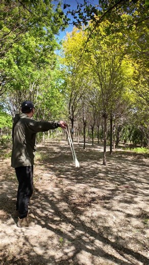 Primal Power! Precision Slinging vs. Ceramic Vase 💥 #slingshot #outdoorgear #ancientweapons