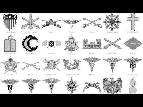 United States Army Branch Insignia's