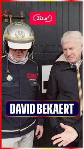 What's an American sulky? 🤔 | #quinté #horseracing