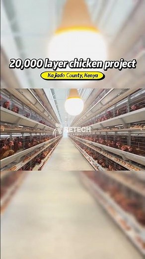 20,000 Layer Chicken Farm in Kenya | Automatic H-Type Layer Raising Equipment- RETECH Farming #kenya