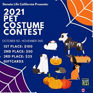 13 reactions · 8 comments | This spooky season, we here at Donate...