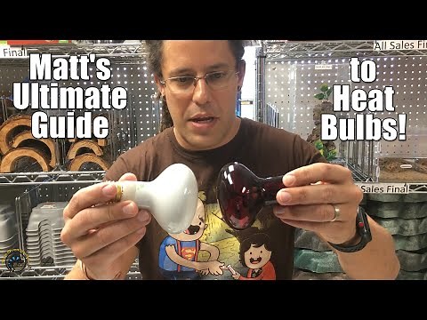 How to Choose the Right Heat Bulb for Your Pet Reptile! 🌞💡