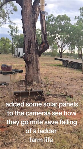 David Barton (@hondamad69)’s videos with original sound - Cain Walker Music