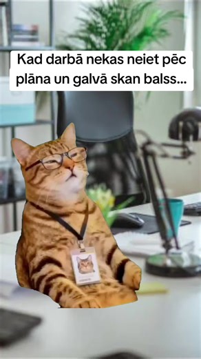 #MemeCut #treanding #tiktok