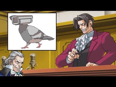 Are Birds Real? (Objection.lol)