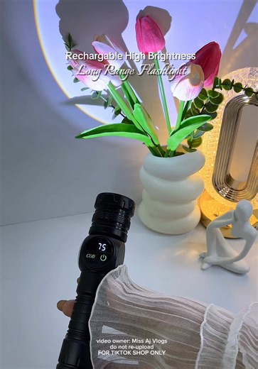 Ultimate Rechargeable Long Range Flashlight Review