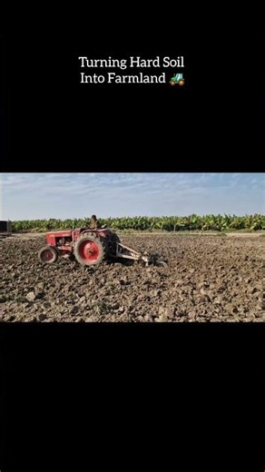 Turning Hard Soil Into Farmland | Tractor Disc Ploughing Satisfying 🌱 #shorts #farming