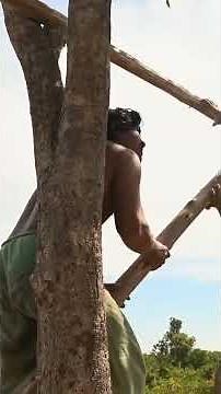 "PART 2" How We Built an 18.5m Tree House with Private Pools