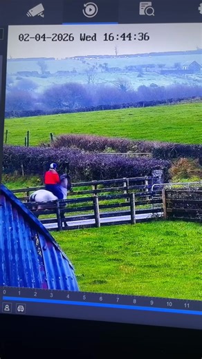 Someone had a firework up her bum today… she had a week off #fyp #foryou #fireworks