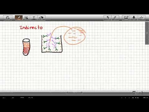 ELISA prueba de laboratorio paso por paso