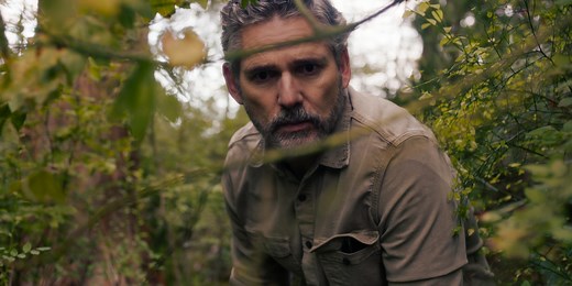 Why Is The 'Untamed' Finale So Complicated?