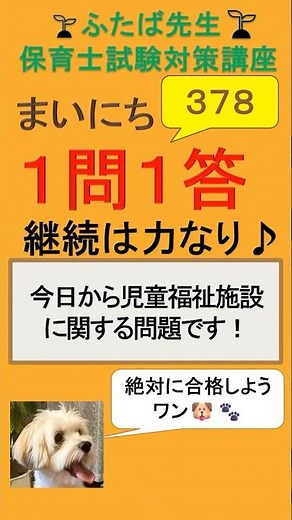 378 児童自立支援施設の養護内容について