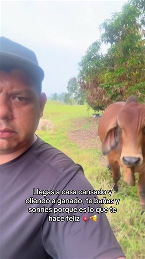 #ganado #sueñosymetas #campofeliz #brahman #amorporelganado