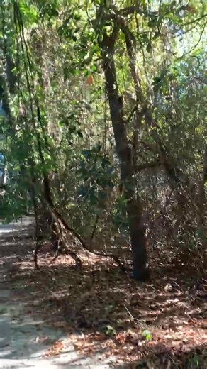 Legacy Lane. | Richard Mathis