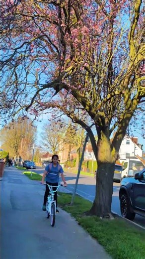 Spring Is Finally Here 🌸 | Nature Awakening #viral #trending #shorts#nature #reels #spring #youtube