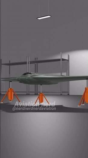 Horten Ho 229 in blender