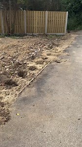 SOMEONE ACTUALLY NICKED OUR HEDGES WTF (CCTV Released Soon!) | The Bald Builders