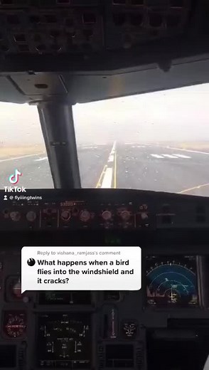 Airplane Cockpit Instrumentation Insights