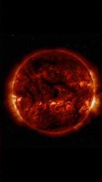 Red Dwarfs: The Eternal Suns