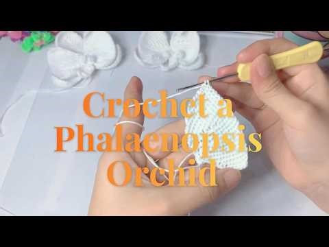 How to Crochet a Phalaenopsis Orchid | Full Step-by-Step Tutorial for Beginners