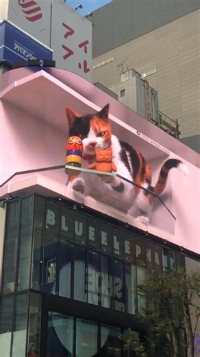 The Shinjuku cat billboard is a giant cat billboard built with 3D technology. This billboard uses advanced 3D display technology to make the image of the cat come alive, giving people the illusion that it is actually standing on the 3D billboard.The 3D cat billboard is Located in Shinjuku Tokyo🥰 #japan #japantravel #japan3Dcatbillboard #bigcat | Paula Vlog