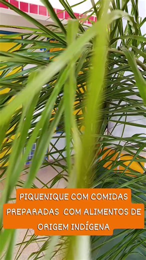 Cultura Indígena: Piquenique com Sabores Autênticos