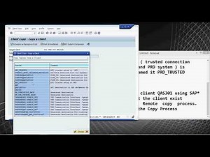 SAP Client Copy - techyskills