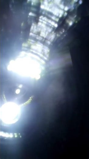 THINK FAST CHUCKLENUTS#flashbang #funny #memes