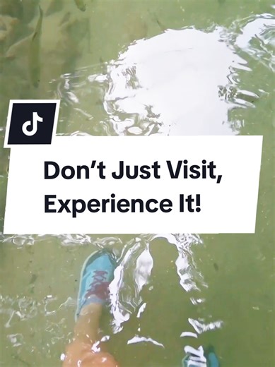 Don’t just visit a place—experience it. ✨ The best memories come from the moments you do, not just the photos you take. Hidden gems, local tours, unforgettable excursions… that’s the good stuff. 🌍 Save this if you’re planning a trip soon 🩷 #travel #travelinspiration #traveltips #hiddengems #thingstodo