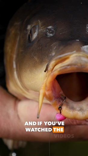 18K views · 179 reactions | Who uses Pop Up Corn?  The Edges...