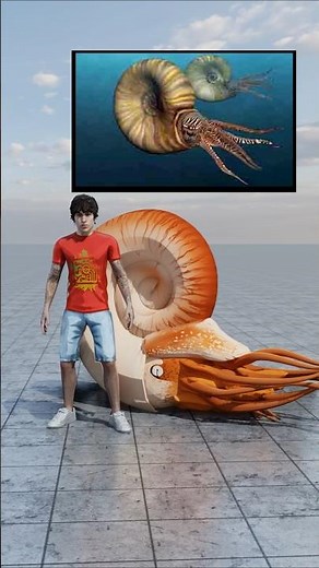 Biggest Prehistoric Ocean Animals Ever!